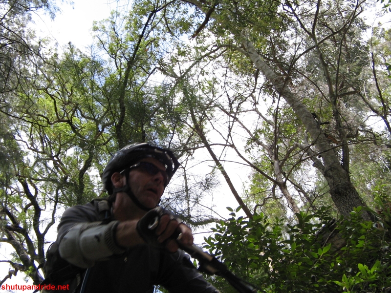 20070114-Coba 385 
